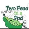 twopeasinapod68